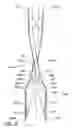 Fig. 08 - Consumer post hole digger