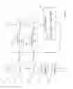 Fig. 05 - Brake fill effect minimization function
