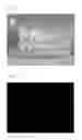 Fig. 02 - METHOD AND APPARATUS FOR CAPTURING ANTI-ALIASING DIRECTX MULTIMEDIA CONTENTS MOVING PICTURE