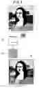 Fig. 06 - Mosaic image generating apparatus and method