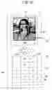 Fig. 17 - Mosaic image generating apparatus and method
