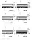 Fig. 13 - Method and system for fluid mediated disk activation and deactivation