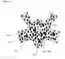 Fig. 09 - Interchangeable attachments for accessories for pets