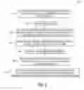 Fig. 06 - Camera adjustment