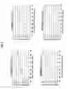 Fig. 06 - Coherent optical receiver