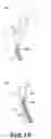 Fig. 18 - Developer supply container and developer supplying system