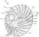 Fig. 01 - Radial compressor of asymmetric cyclic sector with coupled blades tuned at anti-nodes