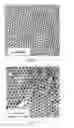 Fig. 02 - Method for making monodisperse silver and silver compound nanocrystals