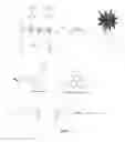 Fig. 03 - COMPOUNDS FOR FLUORESCENCE IMAGING