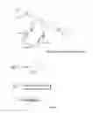 Fig. 04 - COMPOUNDS FOR FLUORESCENCE IMAGING