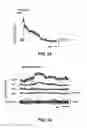 Fig. 04 - Method for measuring neurotransmitters in vivo
