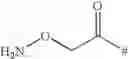 Fig. 35 - Polylysine dendrimer contrast agent