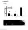 Fig. 07 - Methods for Detection and Prevention of Tick Infestation and Pathogen Transmission