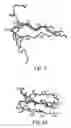 Fig. 06 - CONSTRAINED HIV V3 LOOP PEPTIDES AS NOVEL IMMUNOGENS AND RECEPTOR ANTAGONISTS