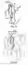 Fig. 09 - CONSTRAINED HIV V3 LOOP PEPTIDES AS NOVEL IMMUNOGENS AND RECEPTOR ANTAGONISTS