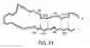 Fig. 12 - CONSTRAINED HIV V3 LOOP PEPTIDES AS NOVEL IMMUNOGENS AND RECEPTOR ANTAGONISTS