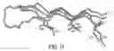 Fig. 13 - CONSTRAINED HIV V3 LOOP PEPTIDES AS NOVEL IMMUNOGENS AND RECEPTOR ANTAGONISTS