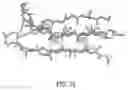 Fig. 14 - CONSTRAINED HIV V3 LOOP PEPTIDES AS NOVEL IMMUNOGENS AND RECEPTOR ANTAGONISTS