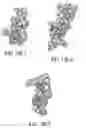 Fig. 16 - CONSTRAINED HIV V3 LOOP PEPTIDES AS NOVEL IMMUNOGENS AND RECEPTOR ANTAGONISTS