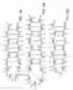 Fig. 17 - CONSTRAINED HIV V3 LOOP PEPTIDES AS NOVEL IMMUNOGENS AND RECEPTOR ANTAGONISTS