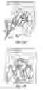 Fig. 18 - CONSTRAINED HIV V3 LOOP PEPTIDES AS NOVEL IMMUNOGENS AND RECEPTOR ANTAGONISTS