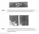 Fig. 13 - STRONTIUM DOPED BIOACTIVE GLASSES