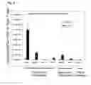 Fig. 04 - NUCLEOTIDE VACCINE