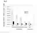 Fig. 10 - NUCLEOTIDE VACCINE