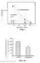 Fig. 02 - Immunogenic Compositions Containing Ceramide and Methods of Use Thereof
