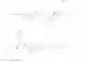 Fig. 197 - Polymeric micelles for polynucleotide encapsulation