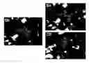 Fig. 01 - Kinase inhibitor compounds