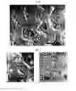 Fig. 02 - METHOD OF PREPARING TRIPLE-COATING LACTIC ACID BACTERIA AND NANO PARTICLE COATING METHOD, TRIPLE-COATING LACTIC ACID BACTERIA PREPARED THEREBY AND ARTICLE COMPRISING THE SAME