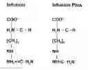Fig. 01 - Method for Modifying the pH of Meat Products to Improve the Qaulity Thereof