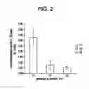 Fig. 07 - FUNCTIONAL POLYMORPHISMS OF THE INTERLEUKIN-1 LOCUS AFFECTING TRANSCRIPTION AND SUSCEPTIBILITY TO INFLAMMATORY AND INFECTIOUS DISEASES
