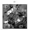 Fig. 02 - SEMICONDUCTOR CERAMIC COMPOSITION