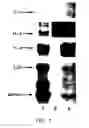 Fig. 02 - Method for Detection of Melanoma