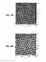 Fig. 07 - Self-encoding sensor with microspheres