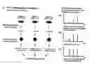 Fig. 01 - Proteome-wide quantification of small molecule binding to cellular target proteins