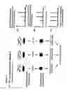 Fig. 02 - Proteome-wide quantification of small molecule binding to cellular target proteins