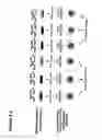 Fig. 09 - Proteome-wide quantification of small molecule binding to cellular target proteins