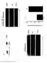 Fig. 02 - Oxytocin and melatonin compositions and associated methods for inducing labor