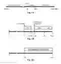 Fig. 02 - CD36 MODULATION AND USES THEREOF