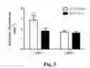 Fig. 06 - CD36 MODULATION AND USES THEREOF