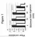 Fig. 02 - High-potency botulinum toxin formulations