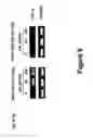 Fig. 07 - Epigenetic modifications at TNFα as biomarkers for sensitivity to Smac mimetic-induced apoptosis