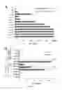 Fig. 02 - Peptides of a melanoma antigen and their use in diagnostic, prophylactic, and therapeutic methods