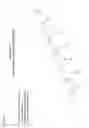 Fig. 02 - Method of reducing intraocular pressure in humans