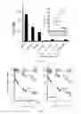 Fig. 05 - Antifolate compounds for the treatment of melanoma