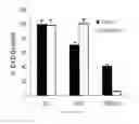 Fig. 06 - Antifolate compounds for the treatment of melanoma