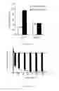 Fig. 12 - Antifolate compounds for the treatment of melanoma